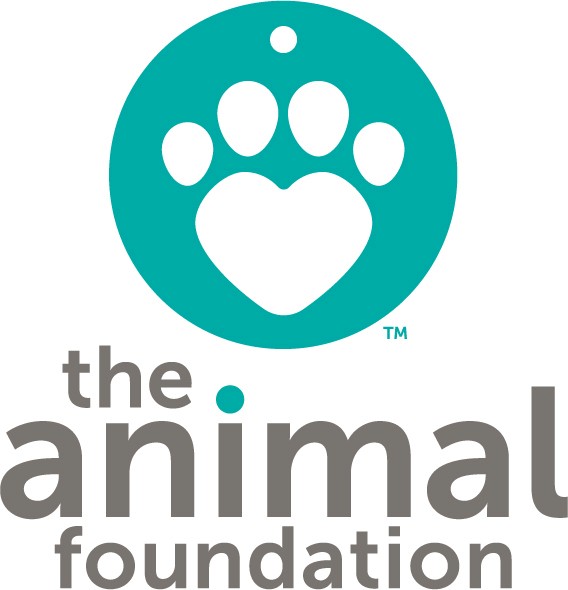 Animal Foundation